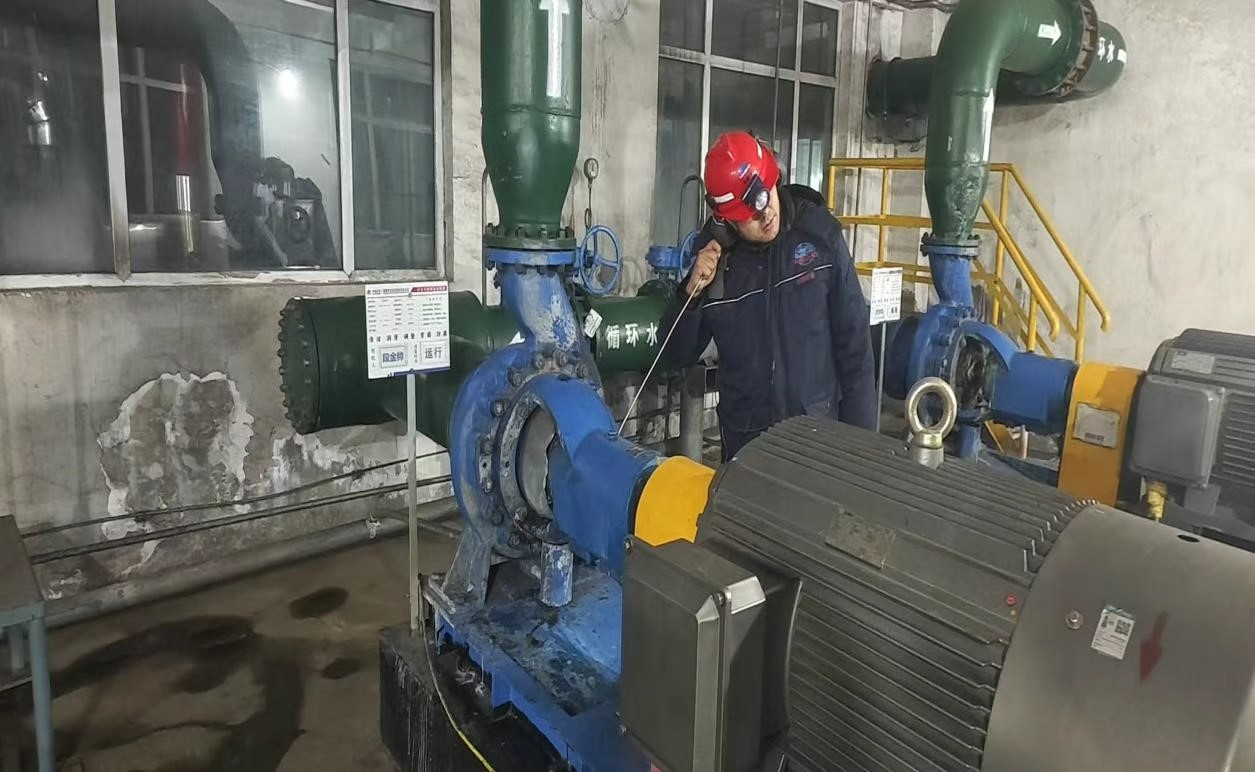 8635ddab-cf60-11f0-b71a-fea6c39cc3af.jpg
